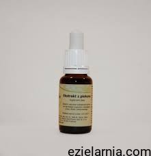 a piołun ekstrakt.jpg