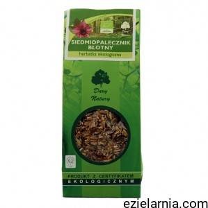 a siedmiopolecznik.jpg