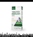 bajka.png