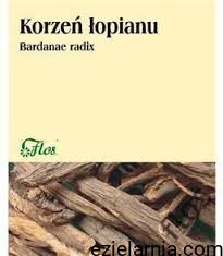a łopian korzeń.jpg