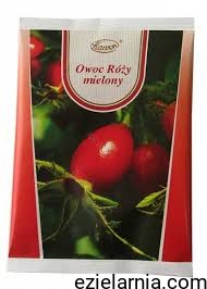 a owoc róży.jpg