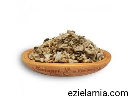 a cykoria podróżnik.jpg