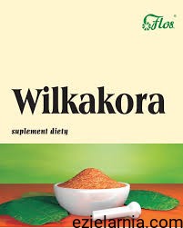 wilkakora.jpg