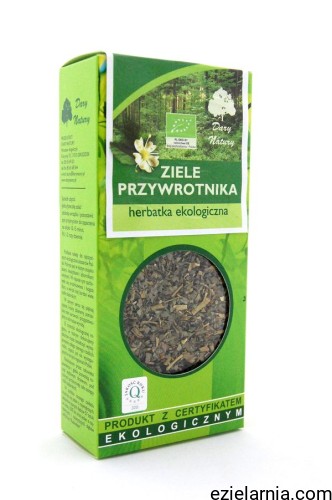 przywrotnik ziele.jpg