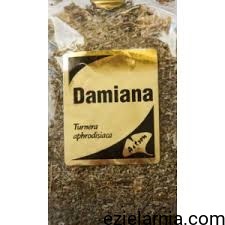 damiana1.jpg